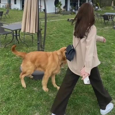 逃离索马里